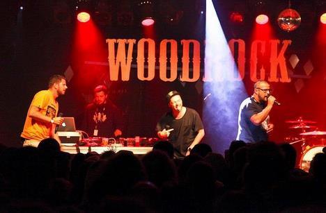 Greis, Baze und Diens live am Woodrock 2013