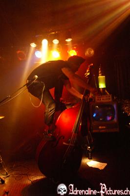 Electric Sheep Companie im Mokka Thun