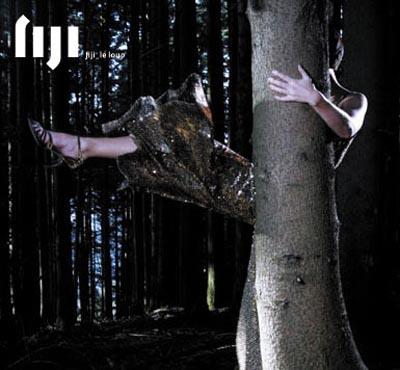 CD-Cover: Fiji - Le Loup