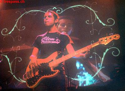 Bassist mit Visual-TJ im Hintergrund